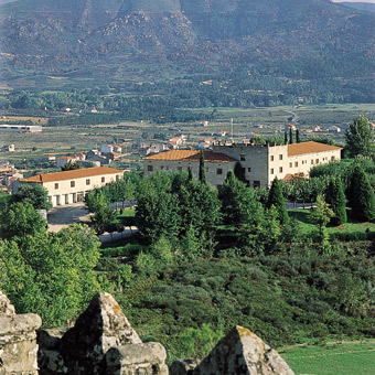 dentro de un a&ntilde;o